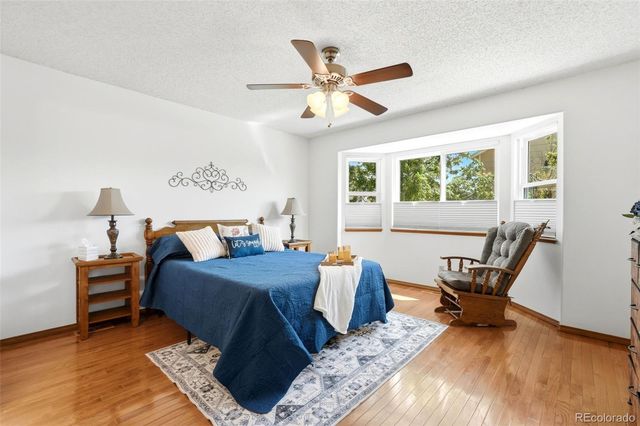 5523 Many Springs Drive, Colorado Springs, CO 80923