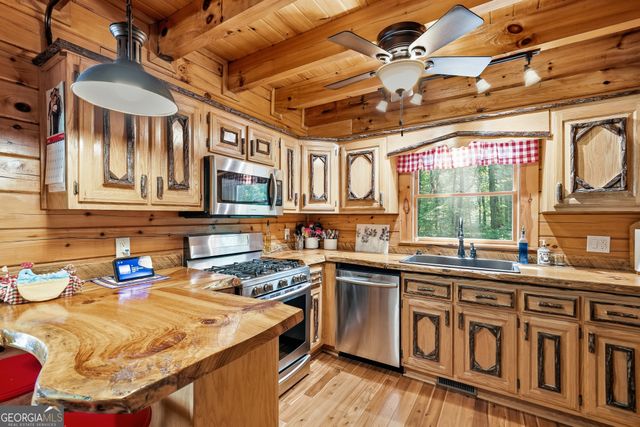 24 Indian Lake Road, Mineral Bluff, GA 30559