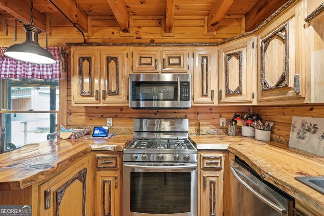 24 Indian Lake Road, Mineral Bluff, GA 30559