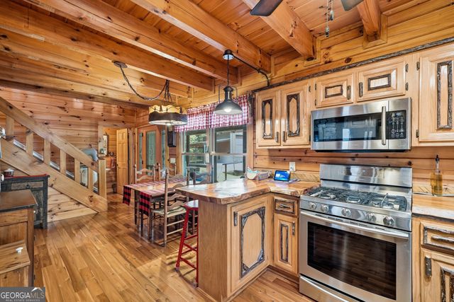 24 Indian Lake Road, Mineral Bluff, GA 30559