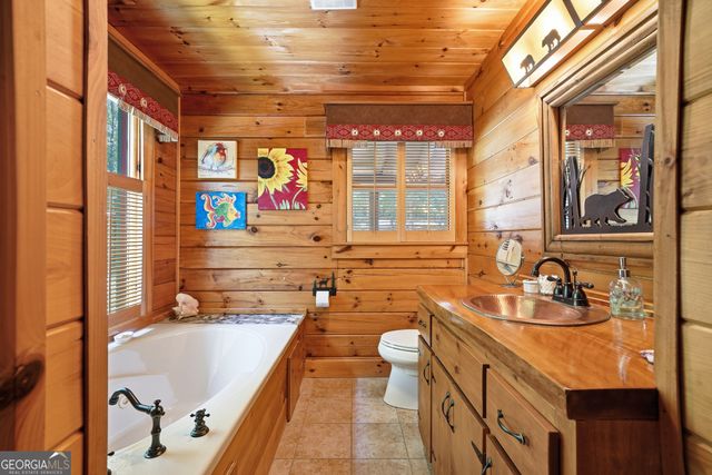 24 Indian Lake Road, Mineral Bluff, GA 30559