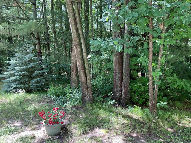 3300 E Arnold Lake Road, Harrison, MI 48625