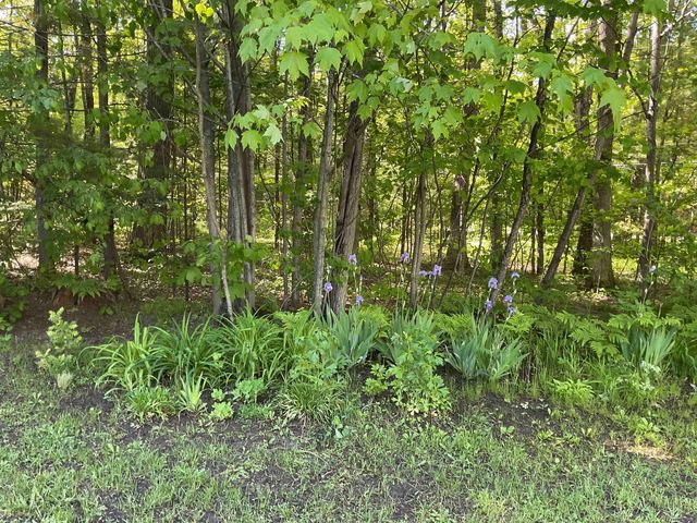 3300 E Arnold Lake Road, Harrison, MI 48625