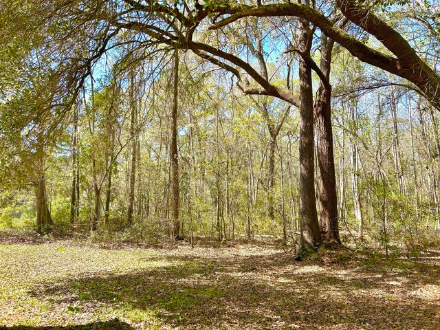 2911 Maybry Drive, Johns Island, SC 29455