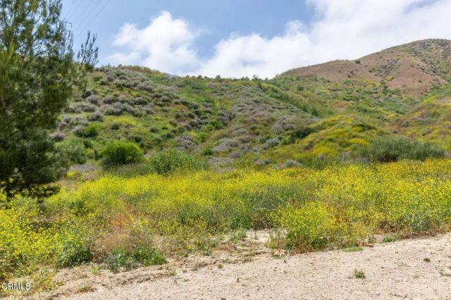 3629 Center Street Street, Piru, CA 93040