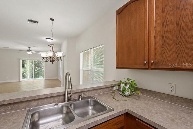 20221 VINTAGE OAKS PLACE, Tampa, FL 33647