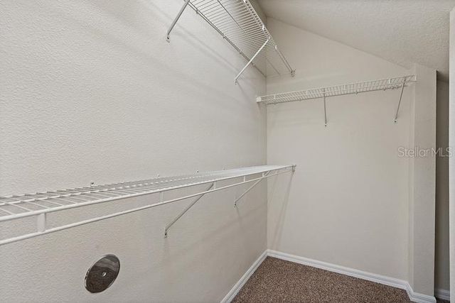 20221 VINTAGE OAKS PLACE, Tampa, FL 33647