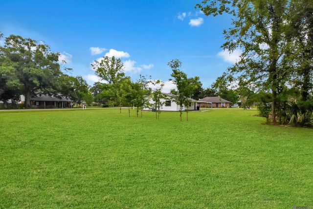 41253 Rhea St, Gonzales, LA 70737