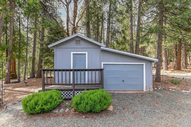 20000 Circle View Dr, Pioneer, CA 95666
