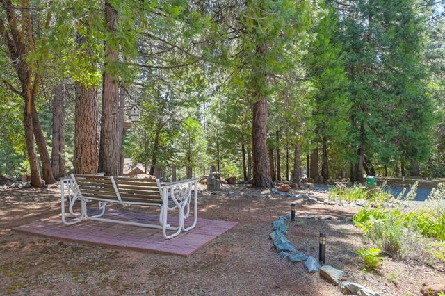 20000 Circle View Dr, Pioneer, CA 95666