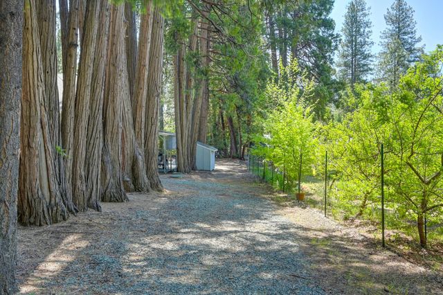 20000 Circle View Dr, Pioneer, CA 95666