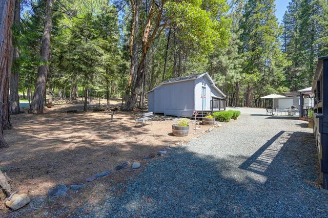 20000 Circle View Dr, Pioneer, CA 95666