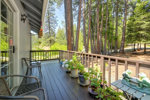 20000 Circle View Dr, Pioneer, CA 95666