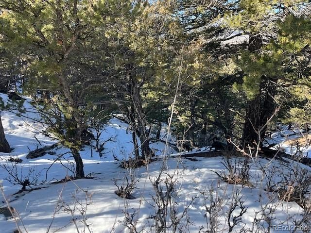 7898 Tiernan Rd, Fort Garland, CO 81133