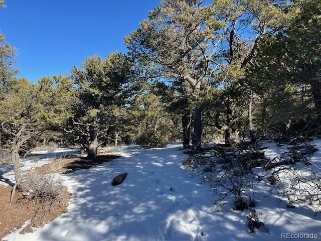 7898 Tiernan Rd, Fort Garland, CO 81133