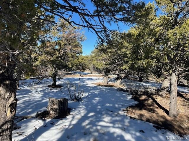 7898 Tiernan Rd, Fort Garland, CO 81133