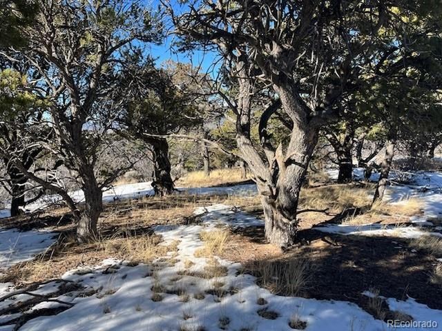 7898 Tiernan Rd, Fort Garland, CO 81133