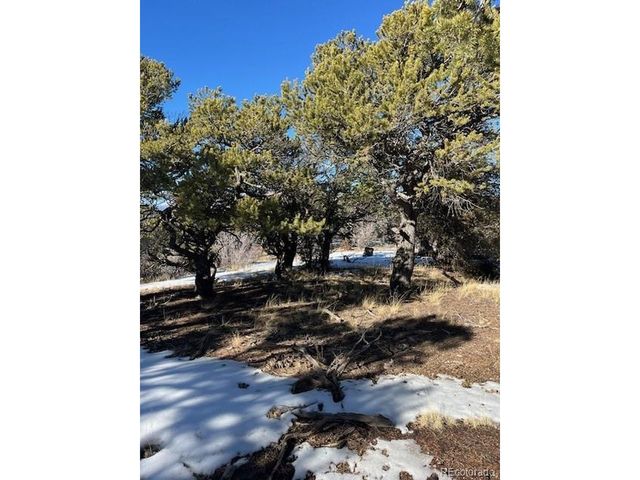 7898 Tiernan Rd, Fort Garland, CO 81133