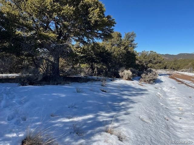 7898 Tiernan Rd, Fort Garland, CO 81133