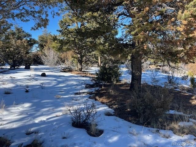 7898 Tiernan Rd, Fort Garland, CO 81133