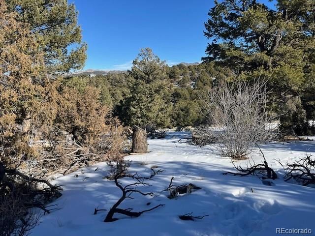 7898 Tiernan Rd, Fort Garland, CO 81133