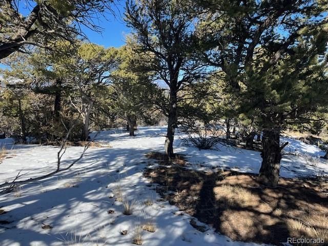 7898 Tiernan Rd, Fort Garland, CO 81133