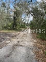 11616 BULLFROG CREEK ROAD, Gibsonton, FL 33534