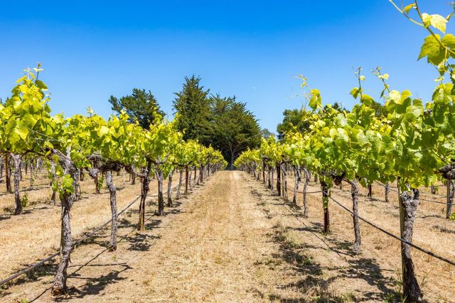 3357 Chardonnay Road, Soquel, CA 95073