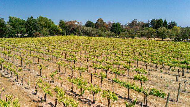 3357 Chardonnay Road, Soquel, CA 95073