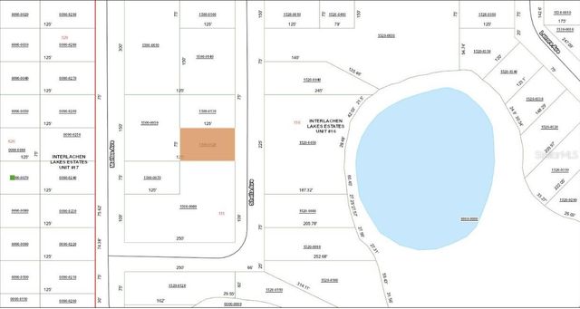 TBD SHEILA AVENUE, Interlachen, FL 32148