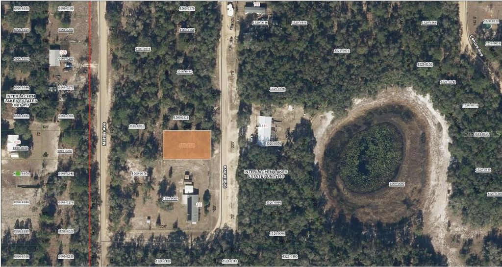 TBD SHEILA AVENUE, Interlachen, FL 32148