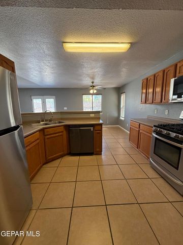 14157 TIERRA DELFIN Drive, El Paso, TX 79938
