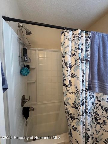 10054 Amidon Street, Spring Hill, FL 34608