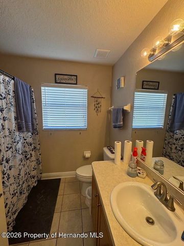 10054 Amidon Street, Spring Hill, FL 34608