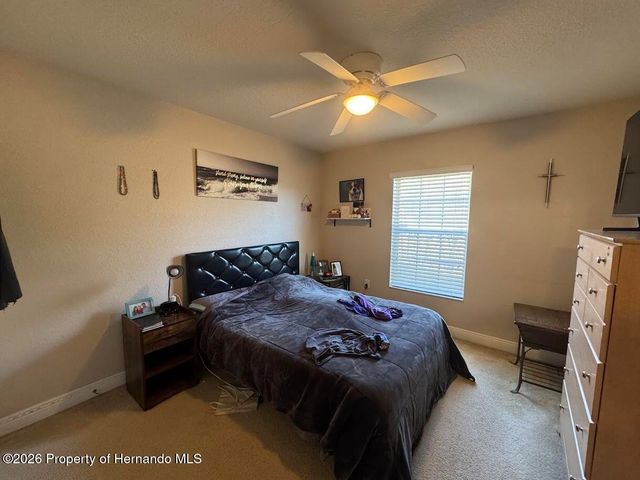 10054 Amidon Street, Spring Hill, FL 34608