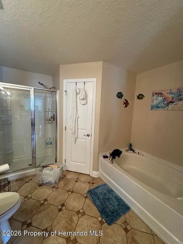 10054 Amidon Street, Spring Hill, FL 34608