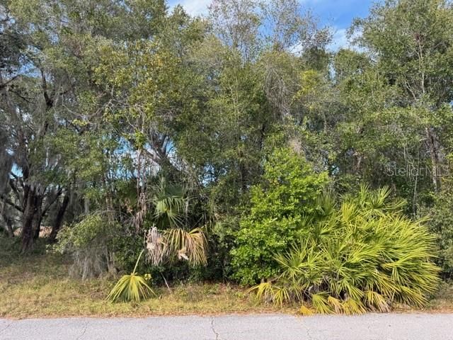 195 LAKE MOLLY AVENUE, Deland, FL 32724