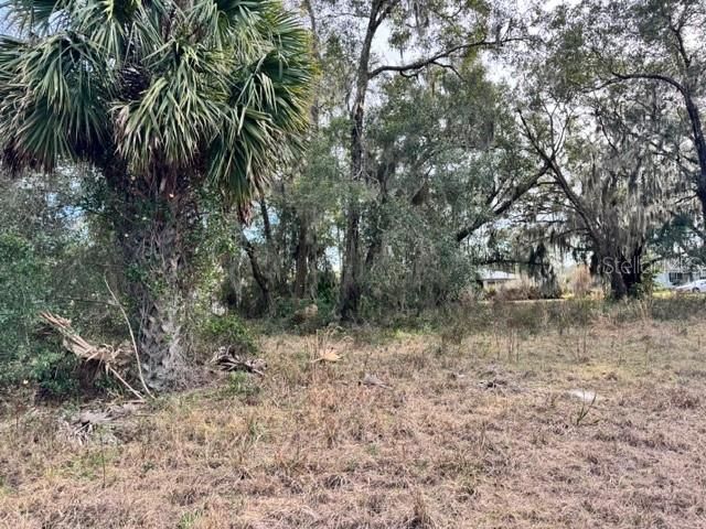 195 LAKE MOLLY AVENUE, Deland, FL 32724