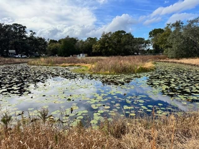 195 LAKE MOLLY AVENUE, Deland, FL 32724