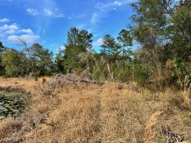 195 LAKE MOLLY AVENUE, Deland, FL 32724