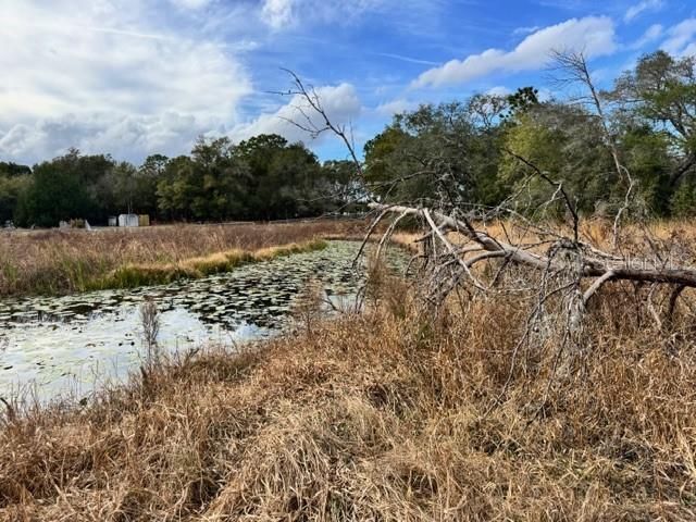 195 LAKE MOLLY AVENUE, Deland, FL 32724