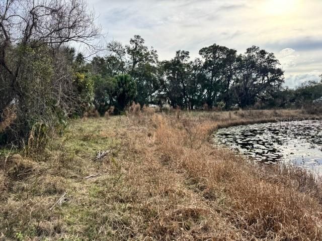 195 LAKE MOLLY AVENUE, Deland, FL 32724