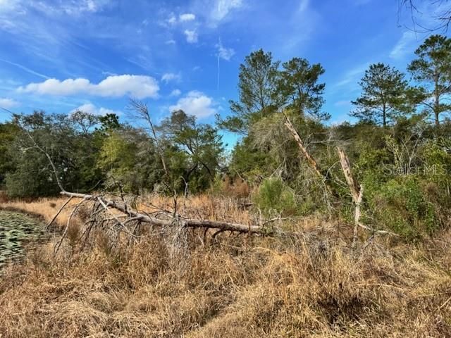 195 LAKE MOLLY AVENUE, Deland, FL 32724