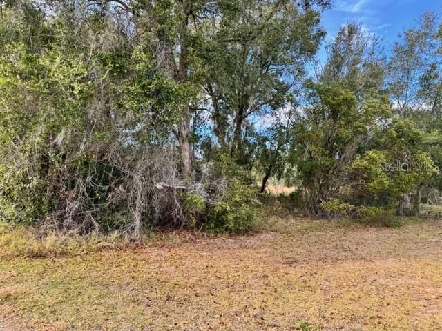 195 LAKE MOLLY AVENUE, Deland, FL 32724