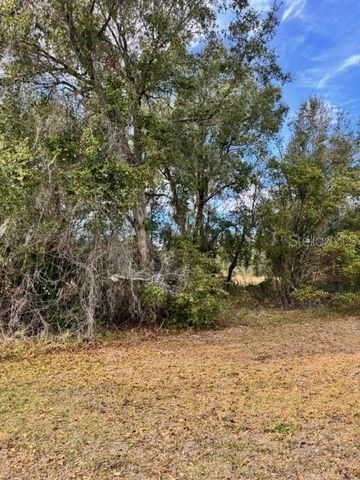 195 LAKE MOLLY AVENUE, Deland, FL 32724