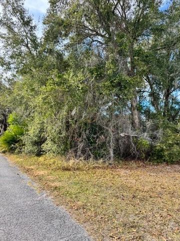 195 LAKE MOLLY AVENUE, Deland, FL 32724