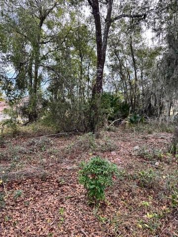 195 LAKE MOLLY AVENUE, Deland, FL 32724