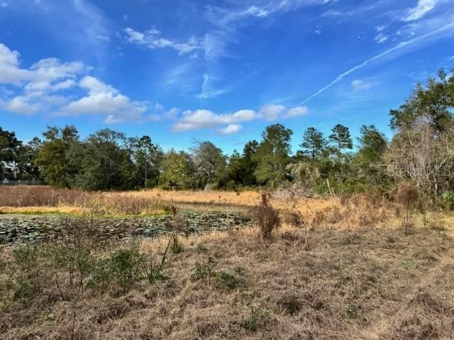 195 LAKE MOLLY AVENUE, Deland, FL 32724