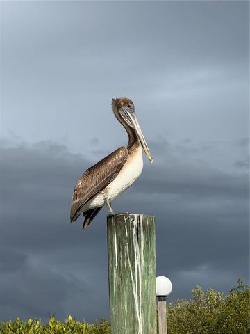 5925 SHORE BOULEVARD S 505, Gulfport, FL 33707