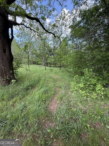 3370 Cowart Road, Dawsonville, GA 30534